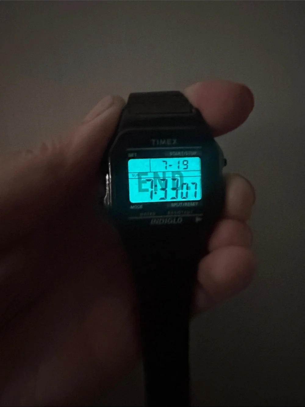 END. x Timex T80 Everyday Watch